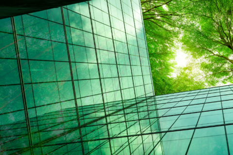 8 Reasons to Customize Your ESG Reporting with Strategic Design