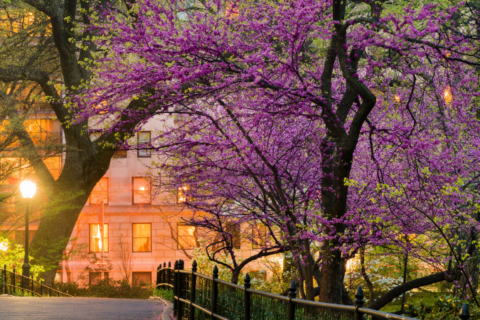 Mild Spring Eases Pressure, but Market Risks Persist Heading into Summer