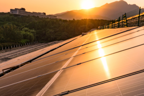 The Benefits of Community Solar for Businesses