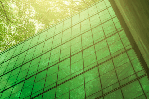 What’s Next for Corporate Sustainability? Trends, Tensions, and the Quiet Momentum Ahead